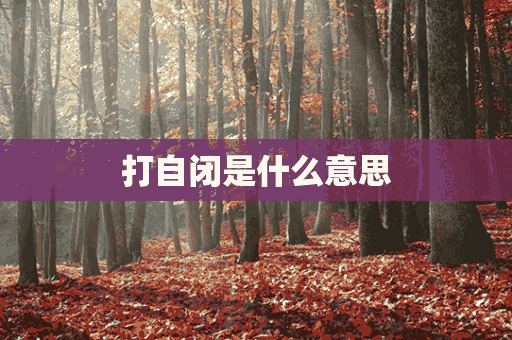 打自闭是什么意思